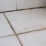 What Happens If You Do Not Seal Grout? A 2026 Guide